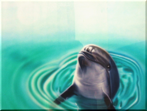 dolphin_n1.jpg